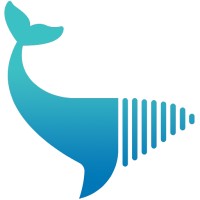 Media Whale logo, Media Whale contact details