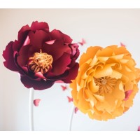 Sydney Paper Flowers logo, Sydney Paper Flowers contact details