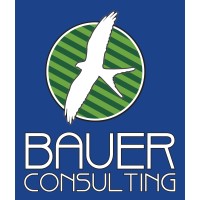 BAUER CONSULTING LLC logo, BAUER CONSULTING LLC contact details