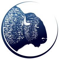 Blue Bison Web logo, Blue Bison Web contact details