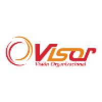 Visor Consultores, SA de CV logo, Visor Consultores, SA de CV contact details