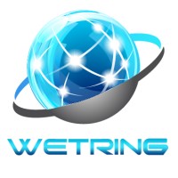 Wetring InfoTech Pvt. Ltd. logo, Wetring InfoTech Pvt. Ltd. contact details