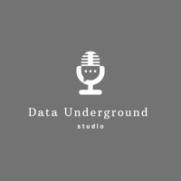 Data Underground Studio logo, Data Underground Studio contact details