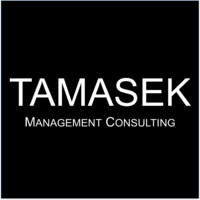 Tamasek Management Consulting logo, Tamasek Management Consulting contact details