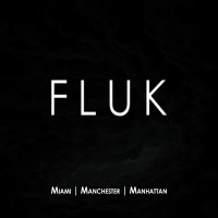 FLUK NYC logo, FLUK NYC contact details