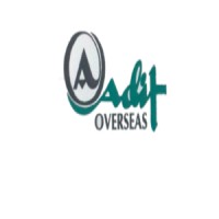 Adit Overseas logo, Adit Overseas contact details