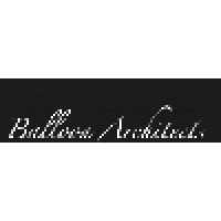 Balloon Architects logo, Balloon Architects contact details