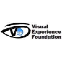 Visual Experience Foundation logo, Visual Experience Foundation contact details