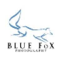 Blue Fox Photography logo, Blue Fox Photography contact details