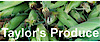 Taylor's Produce logo, Taylor's Produce contact details