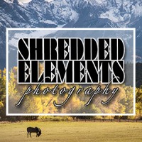 Shredded Elements Photography logo, Shredded Elements Photography contact details