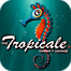 The Tropicale Restaurant & Lounge logo, The Tropicale Restaurant & Lounge contact details