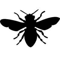 Black Bee Marketing logo, Black Bee Marketing contact details