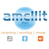 Amellit Studio logo, Amellit Studio contact details