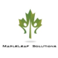 Maple leaf Solutions logo, Maple leaf Solutions contact details