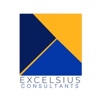 Excelsius Consultants logo, Excelsius Consultants contact details