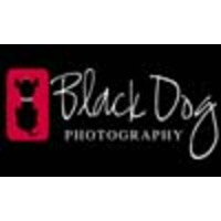 Black Dog Photography Inc. logo, Black Dog Photography Inc. contact details