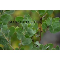 Manzanita LLC logo, Manzanita LLC contact details