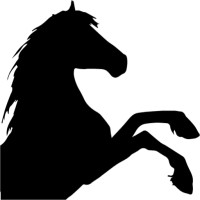 Darkhorse Advisor logo, Darkhorse Advisor contact details