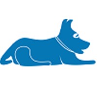 Blue Lacy SEO logo, Blue Lacy SEO contact details