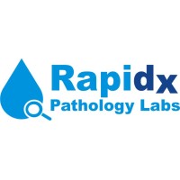 rapidx logo, rapidx contact details