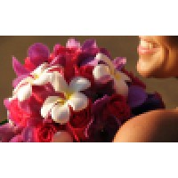 Maui Elegance Floral Design logo, Maui Elegance Floral Design contact details