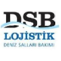 DSB Lojistik Ltd logo, DSB Lojistik Ltd contact details