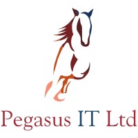 Pegasus IT. logo, Pegasus IT. contact details