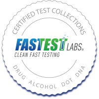 Fastest Labs Sugar Land logo, Fastest Labs Sugar Land contact details