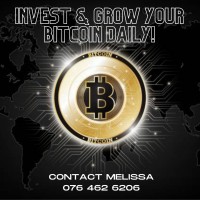 Bitcoin Bulls logo, Bitcoin Bulls contact details