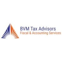 BVM Tax Advisors LLC logo, BVM Tax Advisors LLC contact details