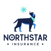 North Star Insurance LLC logo, North Star Insurance LLC contact details