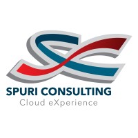 SPURI CONSULTING logo, SPURI CONSULTING contact details