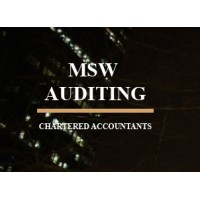 MSW-Auditing logo, MSW-Auditing contact details