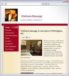 Wellness Massage logo, Wellness Massage contact details