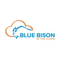 Blue Bison Software Solutions logo, Blue Bison Software Solutions contact details