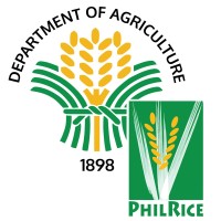 Philippine Rice Research Institute logo, Philippine Rice Research Institute contact details