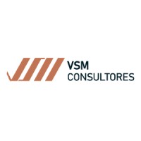 VSM Consultores Perú logo, VSM Consultores Perú contact details