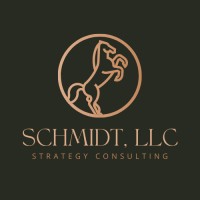 Schmidt Strategy Consulting logo, Schmidt Strategy Consulting contact details