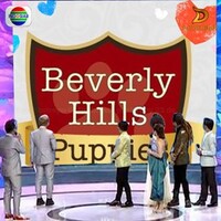 Beverly Hills Puppies, Inc. logo, Beverly Hills Puppies, Inc. contact details