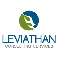 Leviathan Consulting logo, Leviathan Consulting contact details