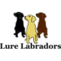 Lure Labradors LLC logo, Lure Labradors LLC contact details