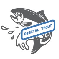 Digital Trout LLC logo, Digital Trout LLC contact details