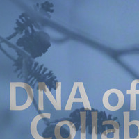 Collaboration DNA logo, Collaboration DNA contact details