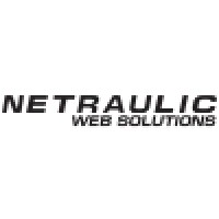 Netraulic Ltd. logo, Netraulic Ltd. contact details