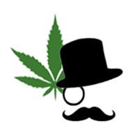 Cannabis Domain Names logo, Cannabis Domain Names contact details