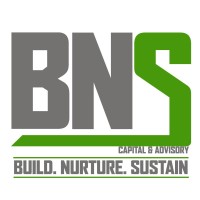 BNS Advisory LLP logo, BNS Advisory LLP contact details