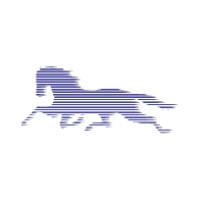 BLUE HORSE CORPORATION logo, BLUE HORSE CORPORATION contact details