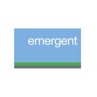 Emergent Capital Partners logo, Emergent Capital Partners contact details