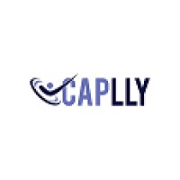 Caplly IT Solutions logo, Caplly IT Solutions contact details